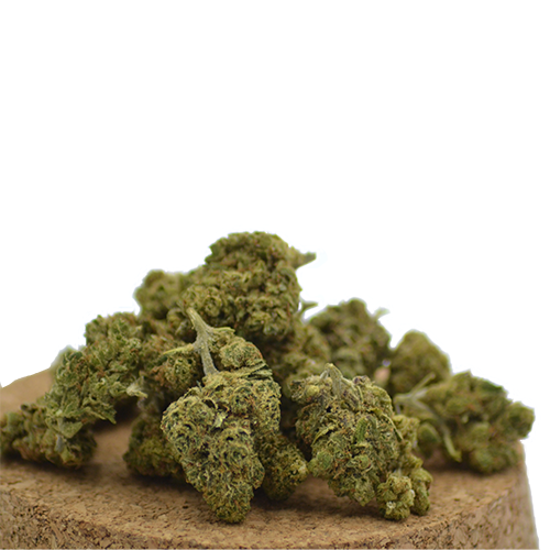 Achat CBD, CBN, CBG - MariSwiss 24 cbd charlotte's webb inomhus