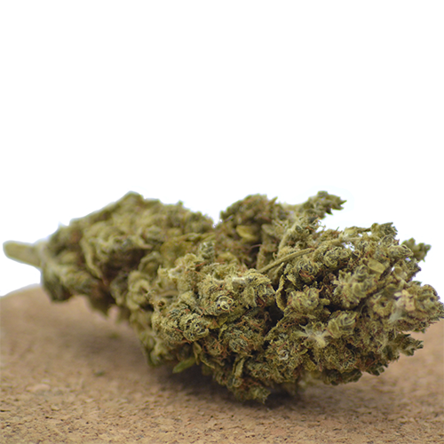 Achat CBD, CBN, CBG - MariSwiss 28 citron tonic växthus
