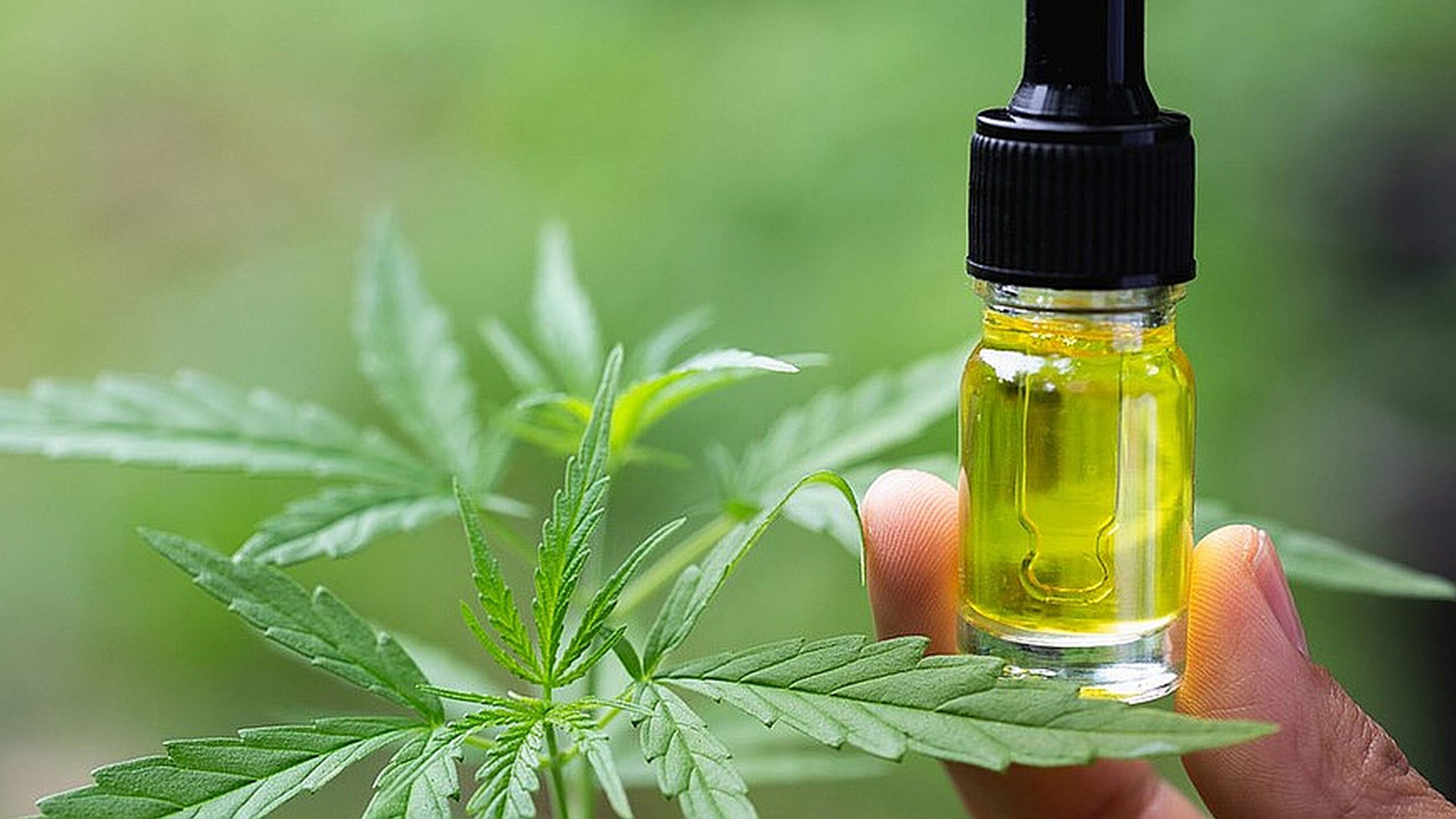 6 Health Benefits of CBD Oil - And Some Side Effects - Mari Swiss