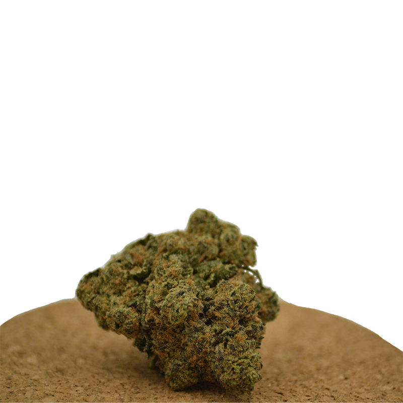 Achat CBD, CBN, CBG - MariSwiss 12 Triange kush CBD inomhus