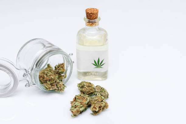Onko hajuttomien CBD-kukkien laatu hyvä? 3 cbd kukkia