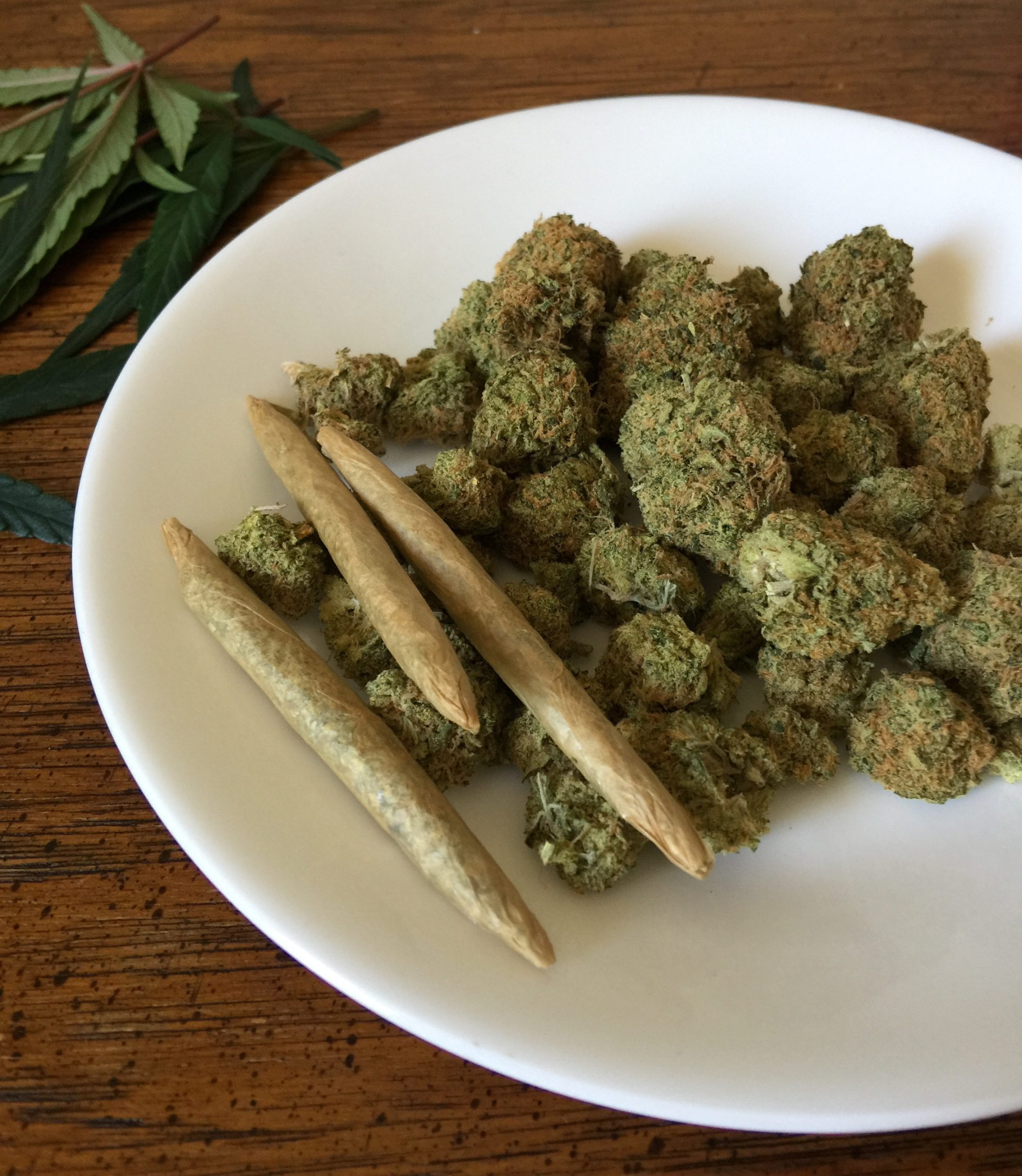 10 Dinge, die Sie bei Ihrer ersten Erfahrung mit Cannabis beachten sollten 20 Cannabis rollen und genießen