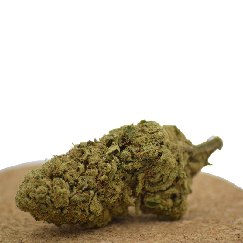 Achat CBD, CBN, CBG - MariSwiss 8 HSD tropisk växthusblomma