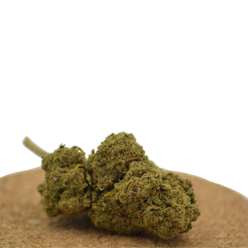 Achat CBD, CBN, CBG - MariSwiss 20 fleur de CBD gelato indoor
